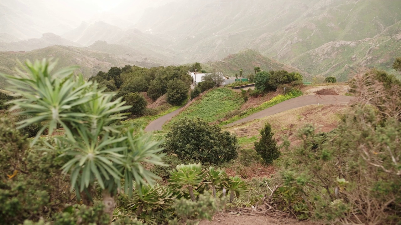 在加那利群岛的特内里费岛，雾气中美丽的山景视频素材