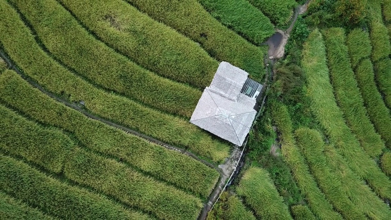 鸟瞰图，泰国清迈省Ban Pa Pong Piang村的一间带有梯田的小屋。视频素材