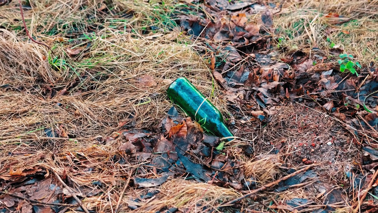 绿色玻璃啤酒瓶倾倒在公园草坪上，乱丢在城市公共空间视频素材