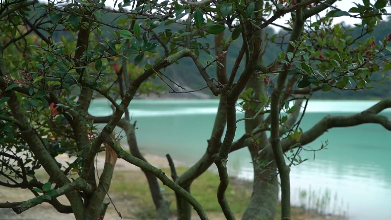 印度尼西亚加鲁特旅游区的塔拉加博达斯。蓝色的湖泊自然风光。视频素材