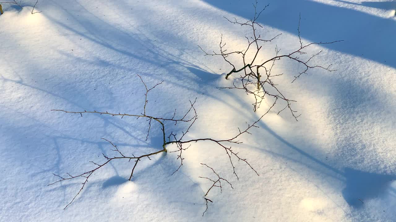 冬天的雪的背景视频素材