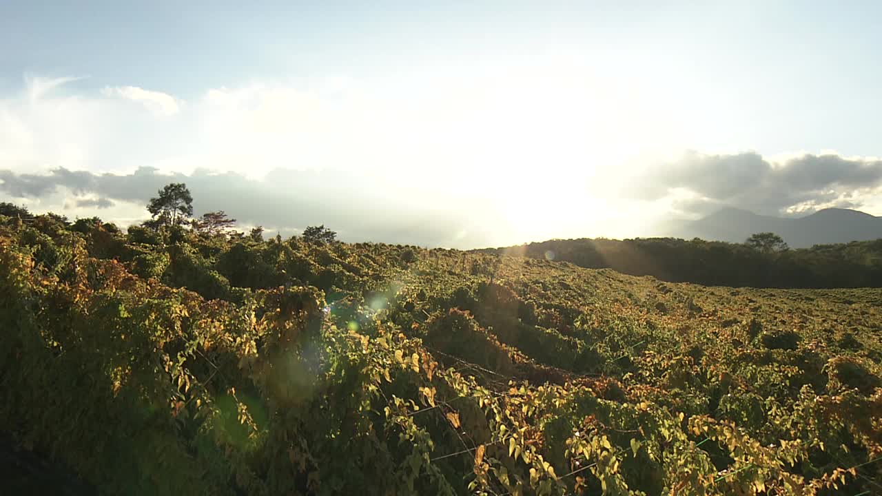 日本，岩手山视频素材