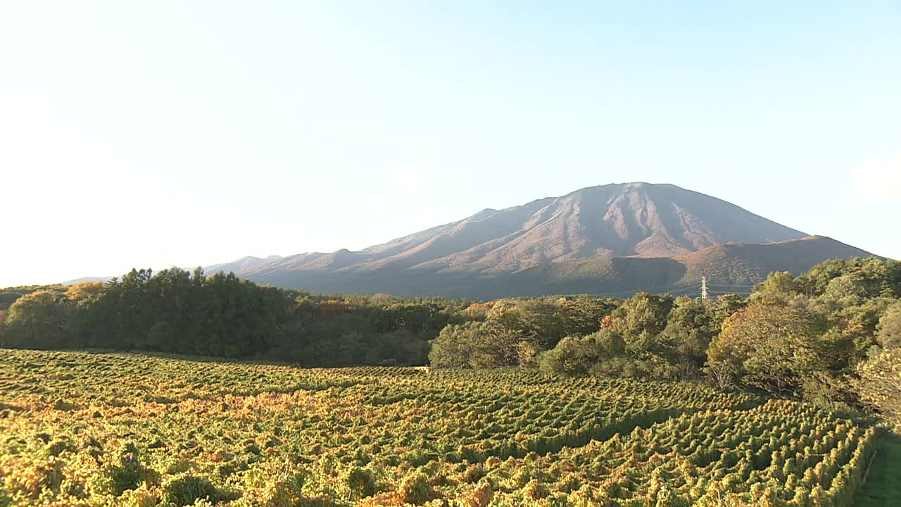 日本岩手山视频素材