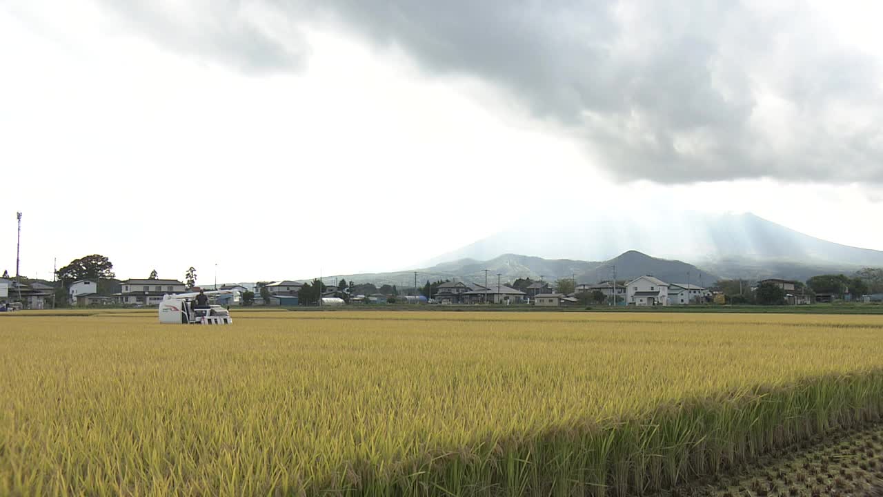 水稻收获和岩手山，日本视频素材