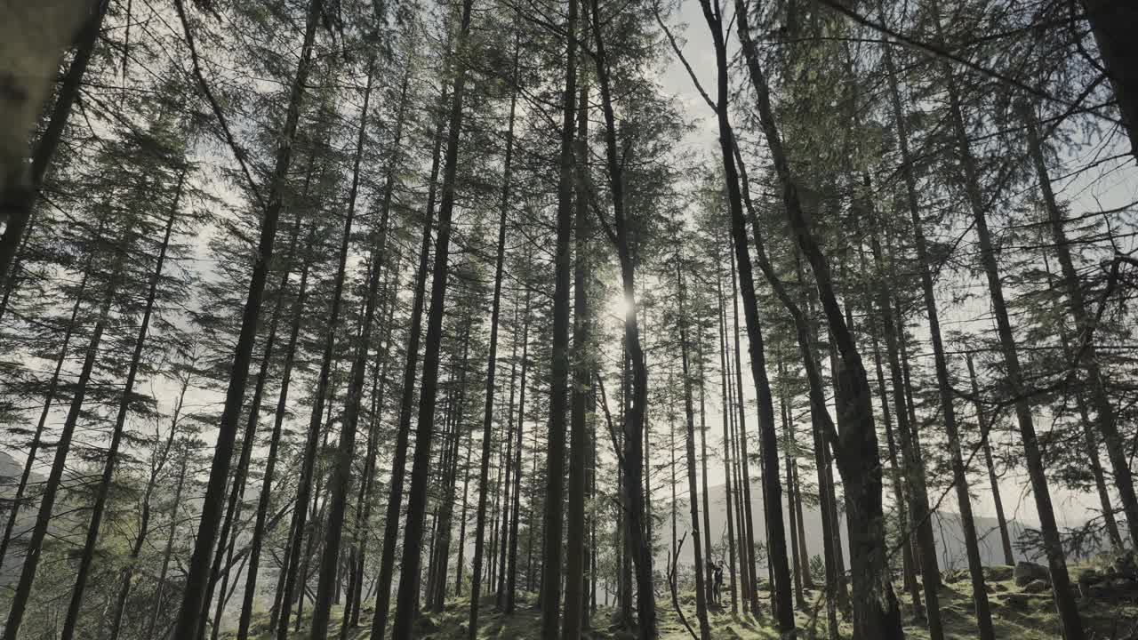 在挪威的户外徒步旅行视频素材