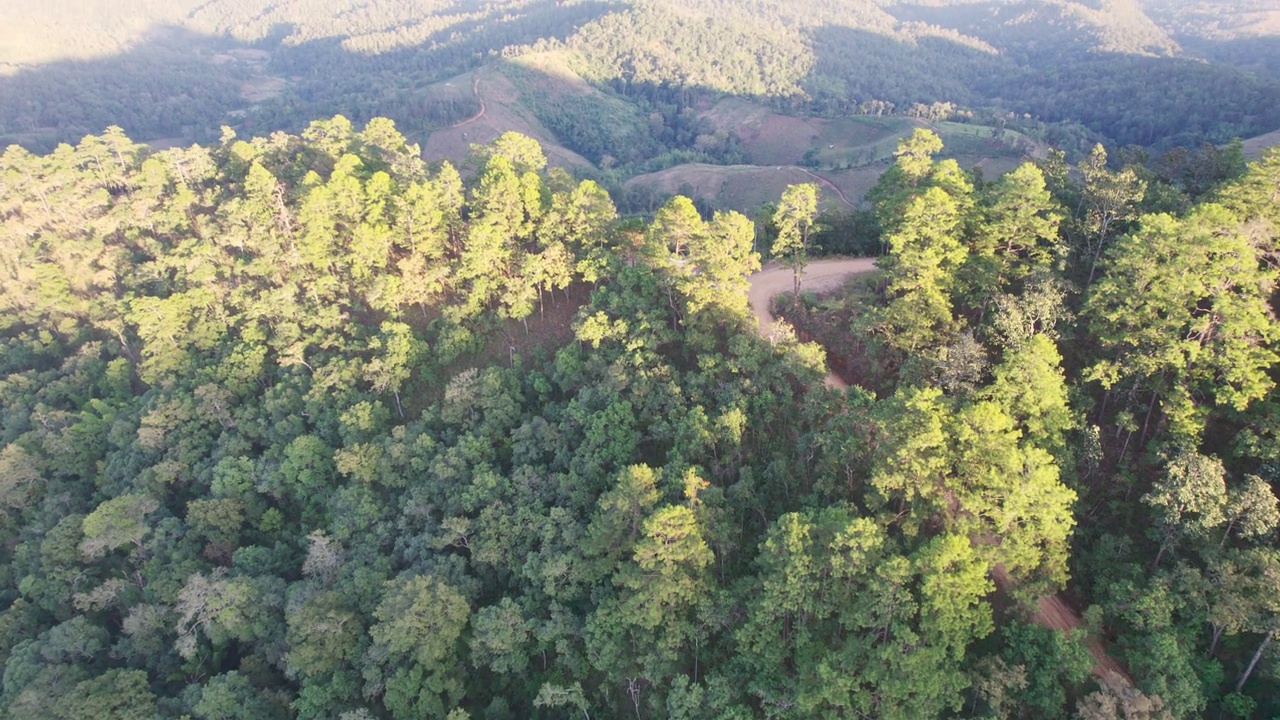 鸟瞰国家公园的热带雨林和山峰视频素材