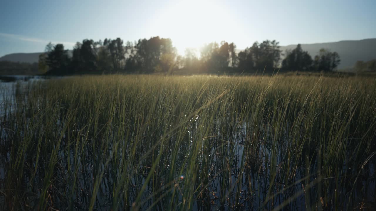 在湖中划船的POV:夏日日落户外视频素材