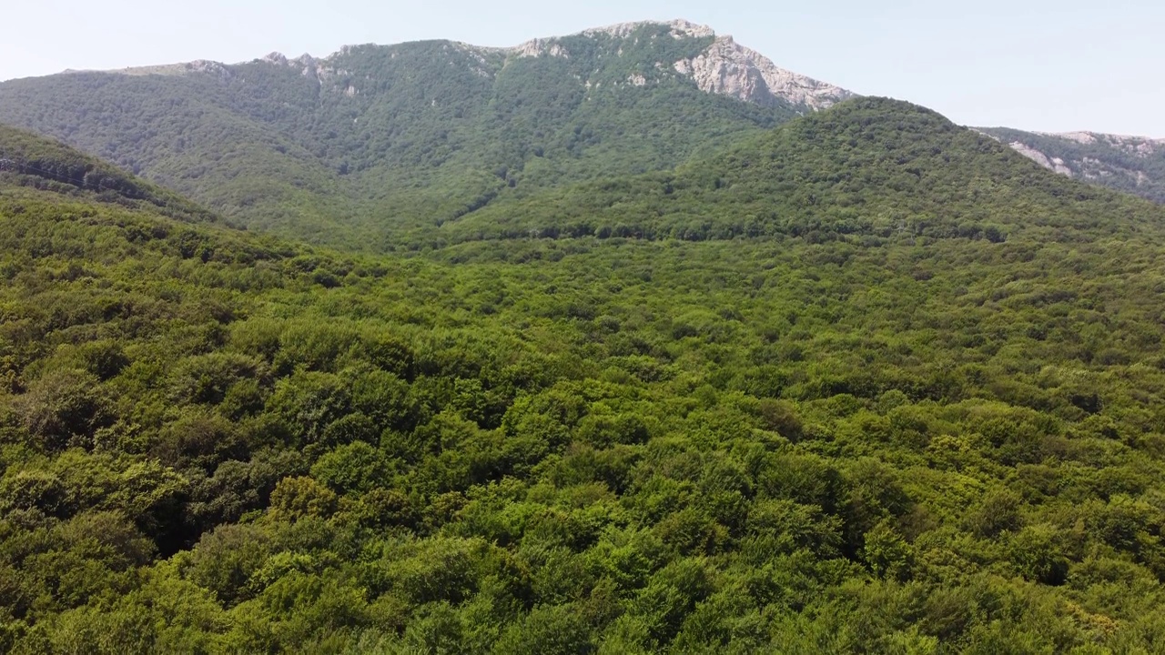 从空中可以看到绿树成荫的群山。视频素材