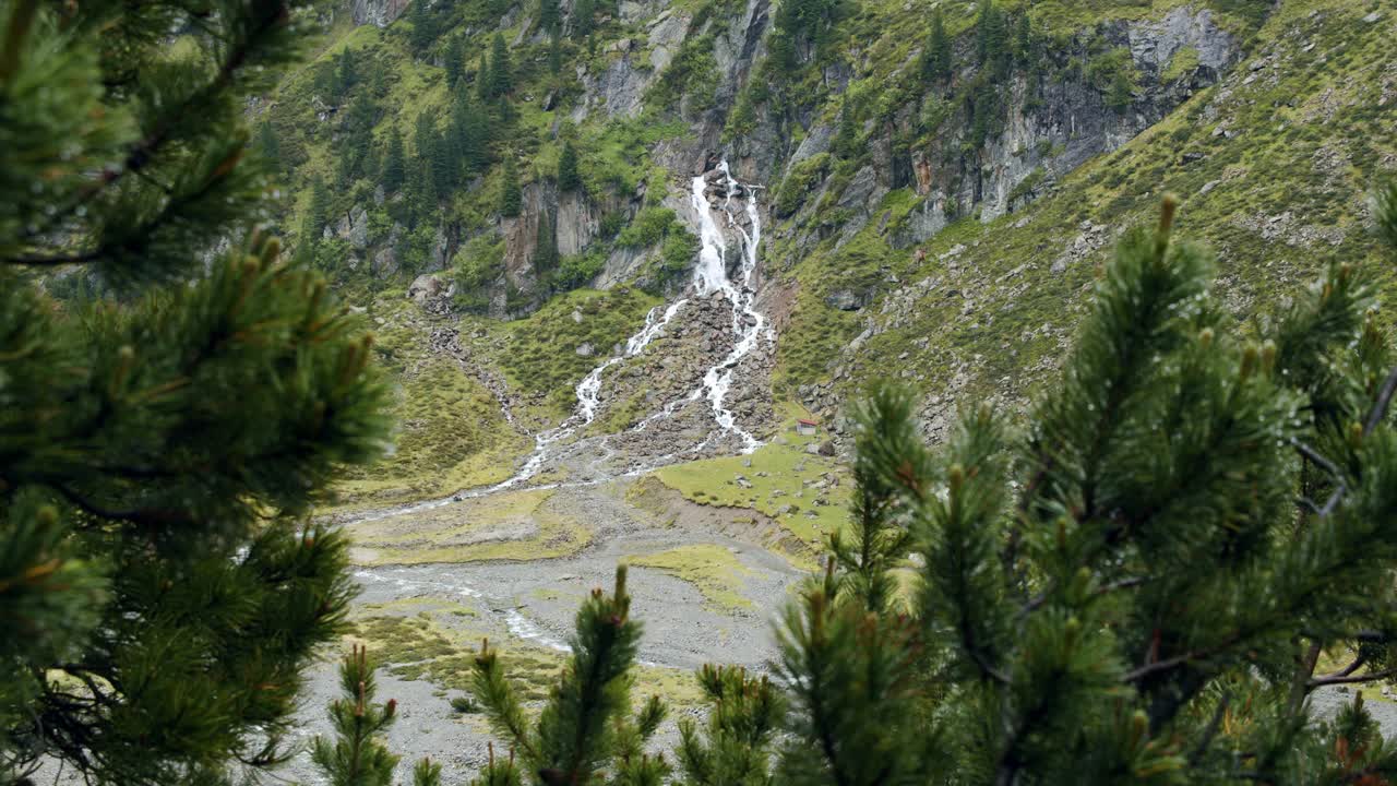 Stubai,奥地利。高山瀑布在高阿尔卑斯山的冷杉树枝框架视频素材