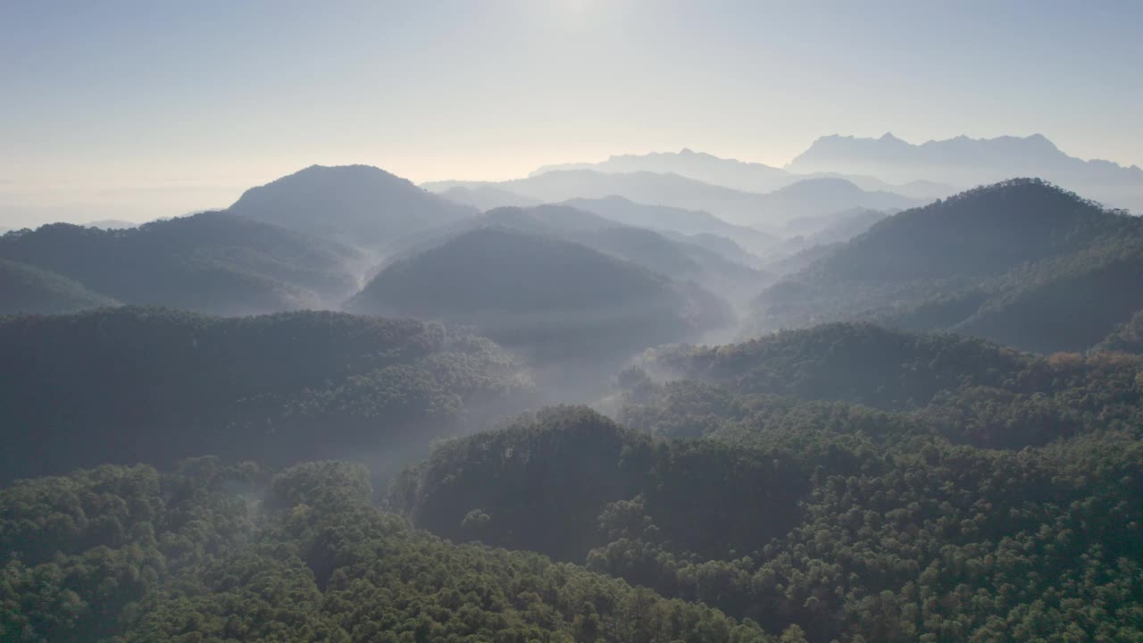 鸟瞰图，在国家公园热带雨林的山谷中，山峦和雾视频素材