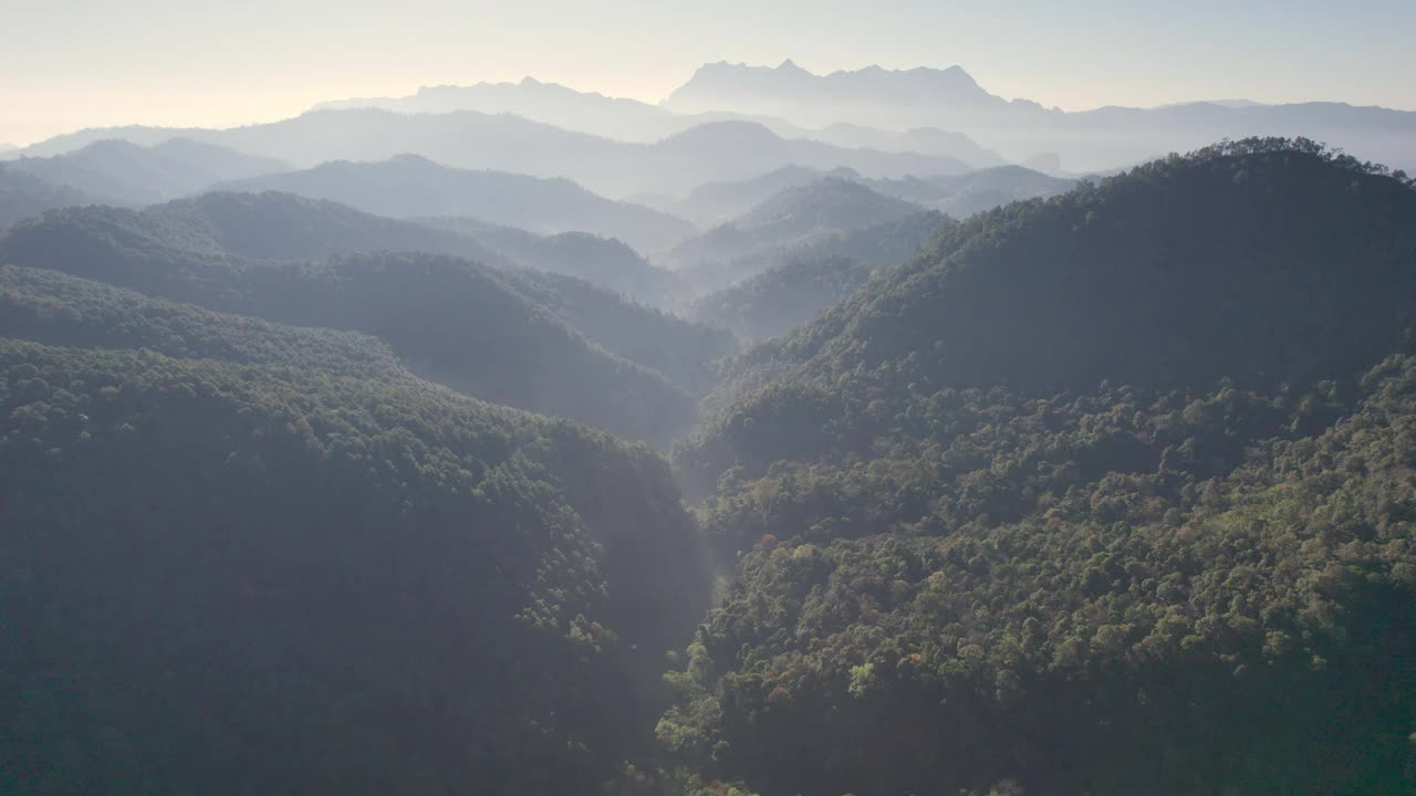 鸟瞰图，在国家公园热带雨林的山谷中，山峦和雾视频素材