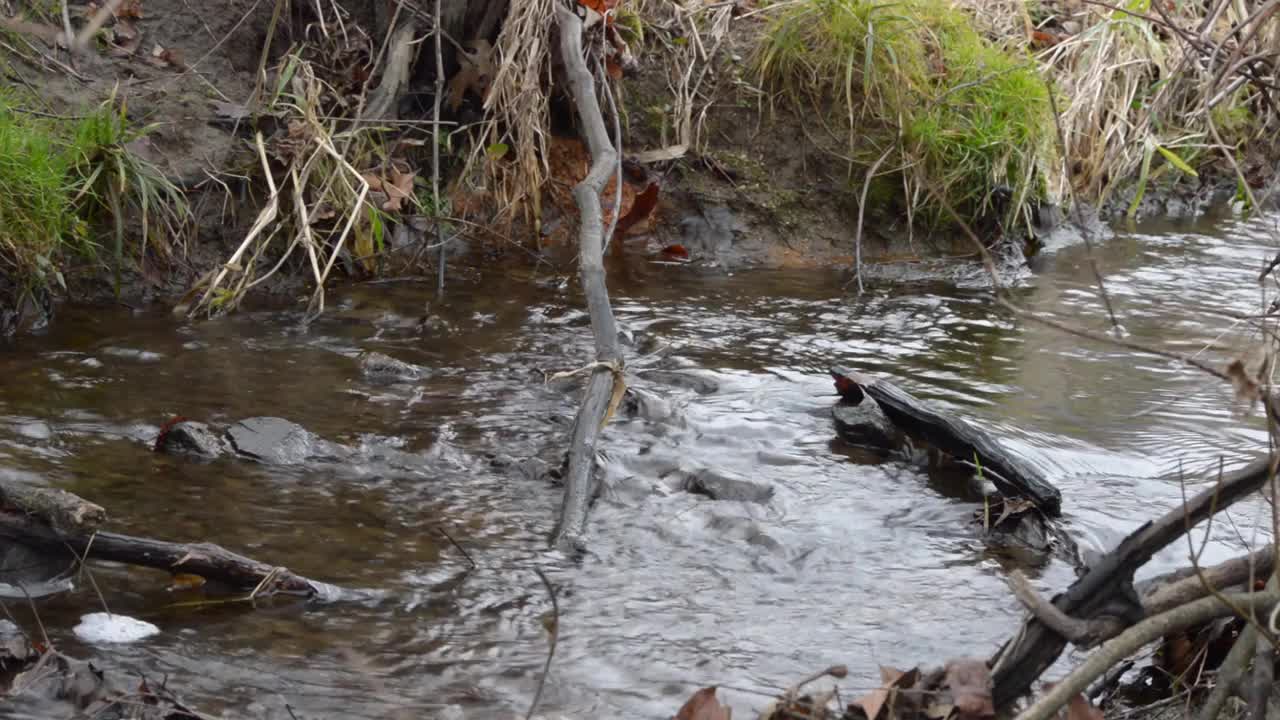 宾夕法尼亚州市中心的Shamona Creek视频素材