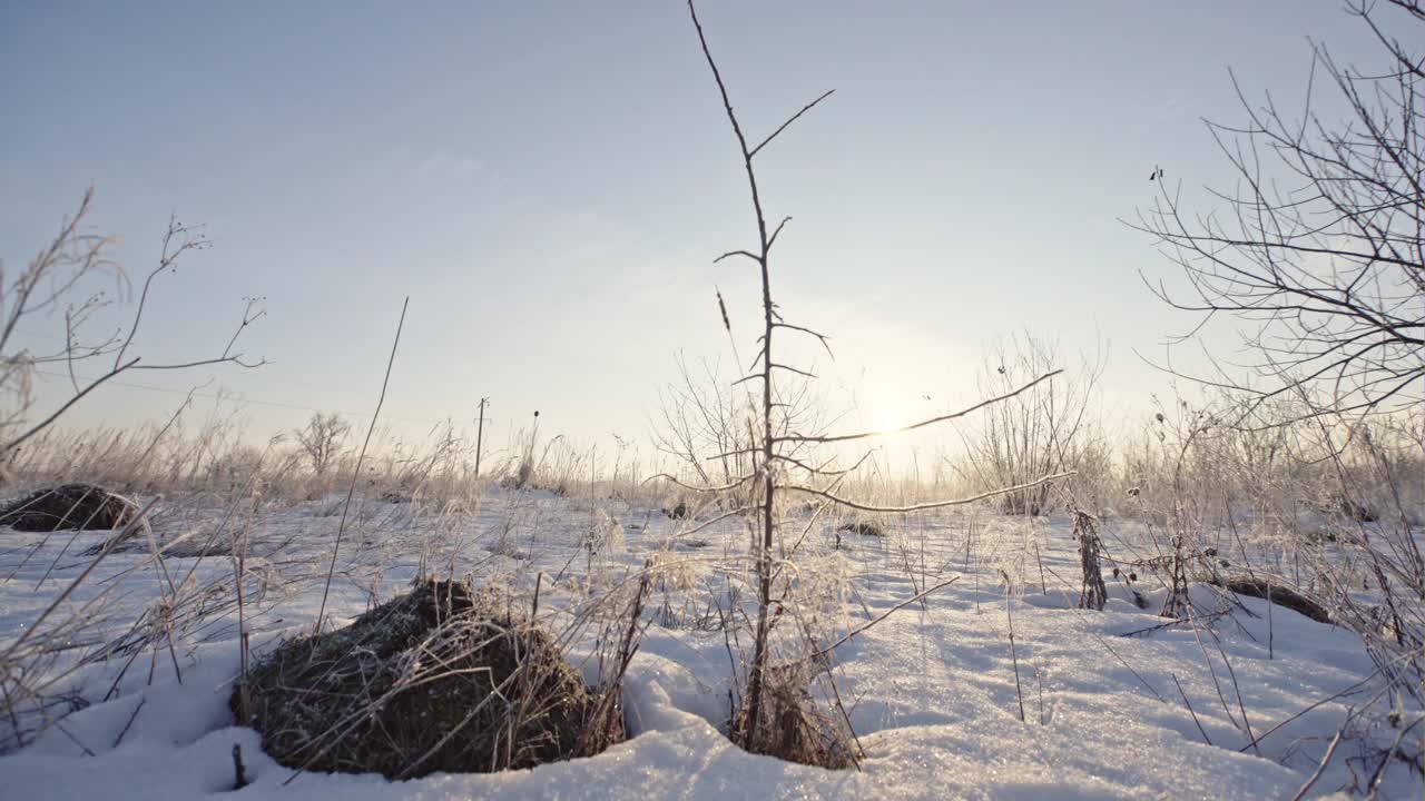 干草被雪覆盖着，在阳光下闪闪发光。冬天视频素材