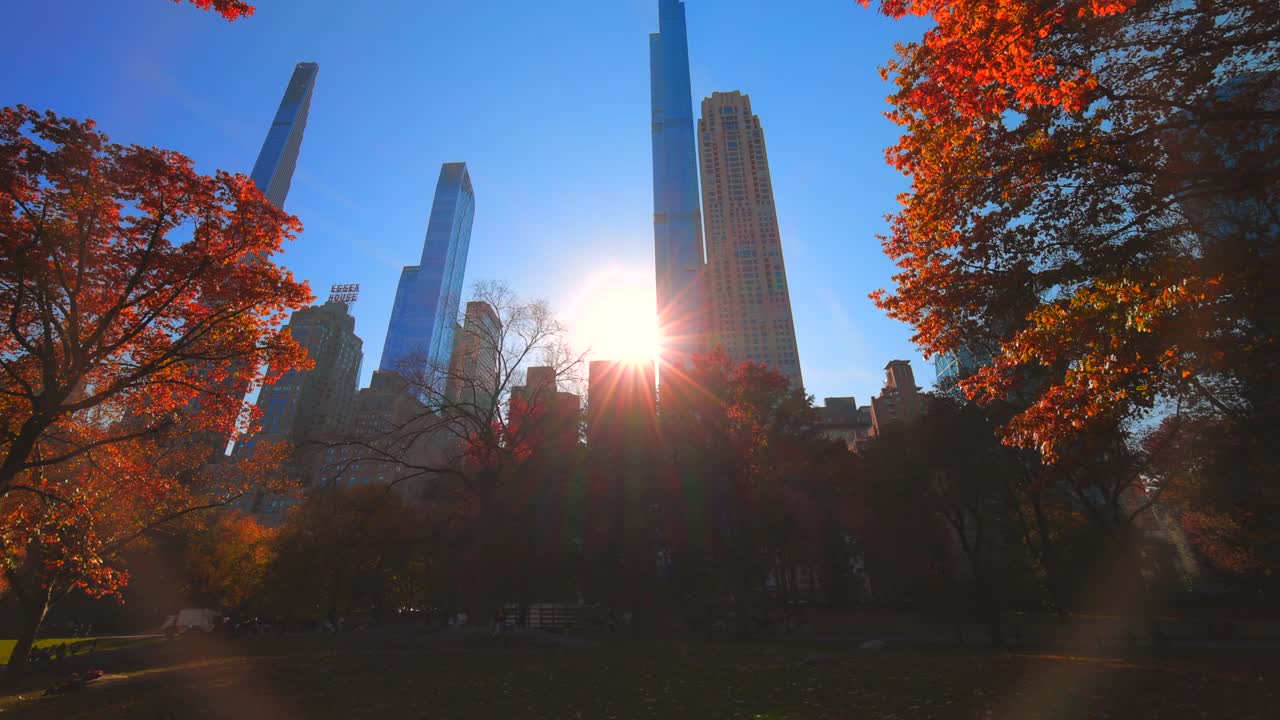 太阳照亮了纽约中央公园秋叶色的树木视频素材