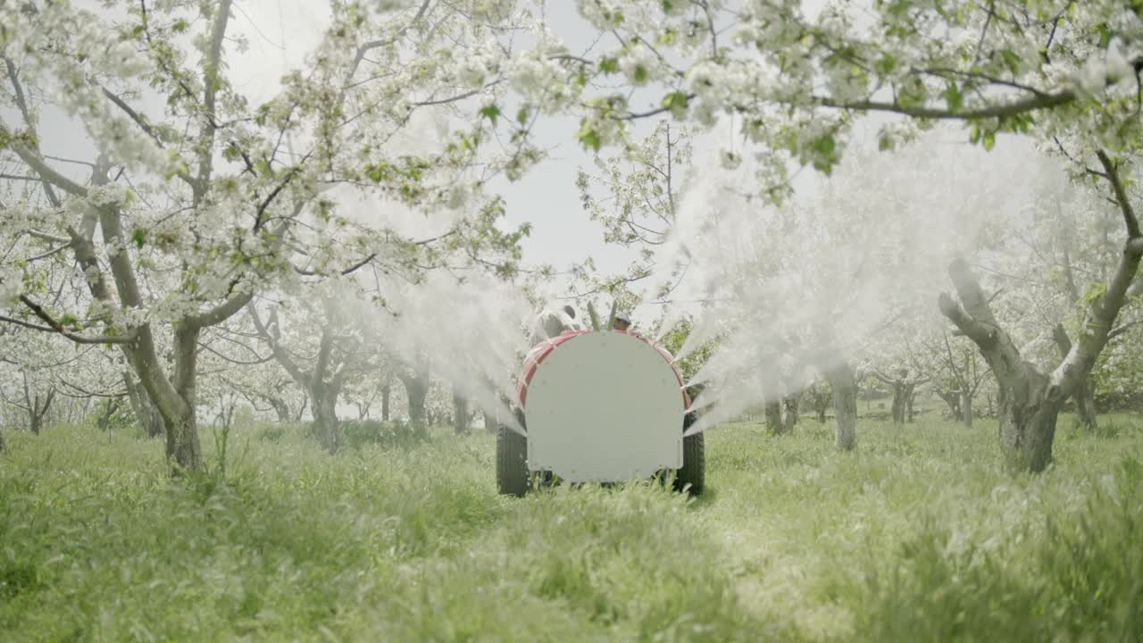 给果园里的树喷杀虫剂防病防虫。视频素材