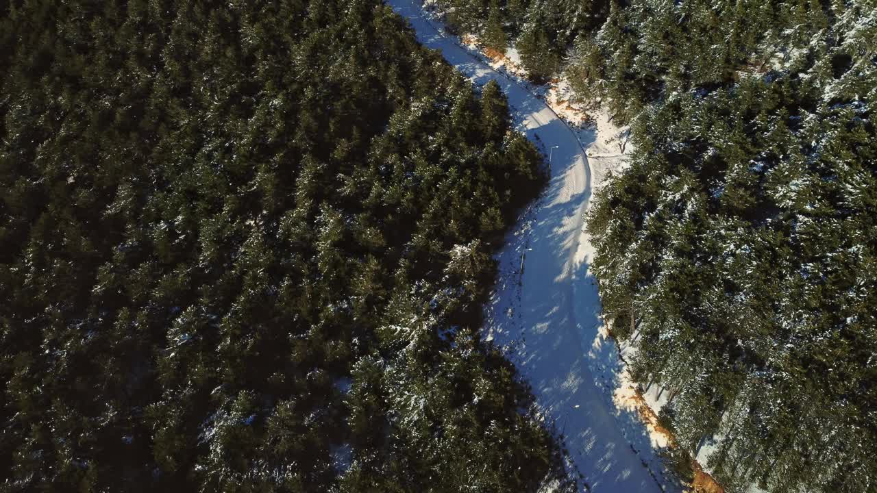 在土耳其的斯皮尔伊兹密尔山，从空中俯瞰冬天的积雪和松树之间弯曲的道路。视频素材