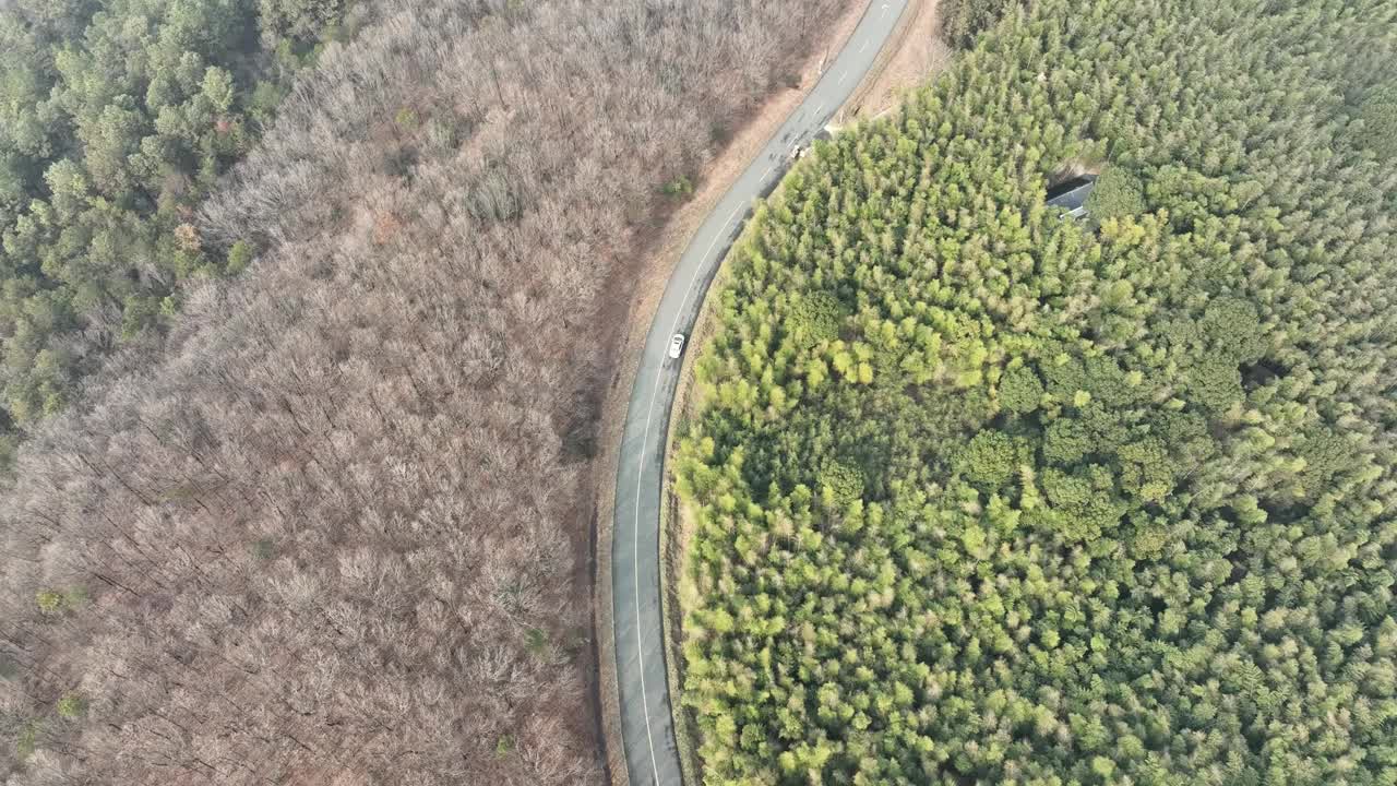 冬季无人机视角下的森林和道路视频素材