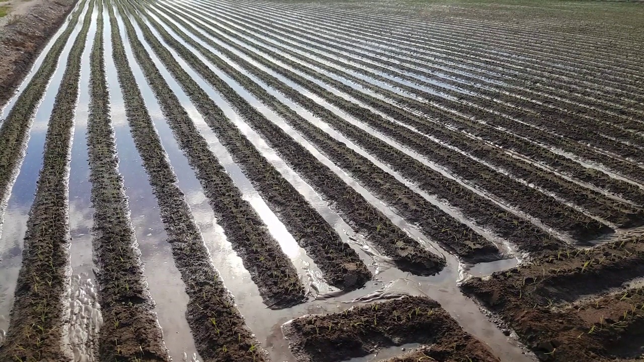 灌溉用水通道视频素材