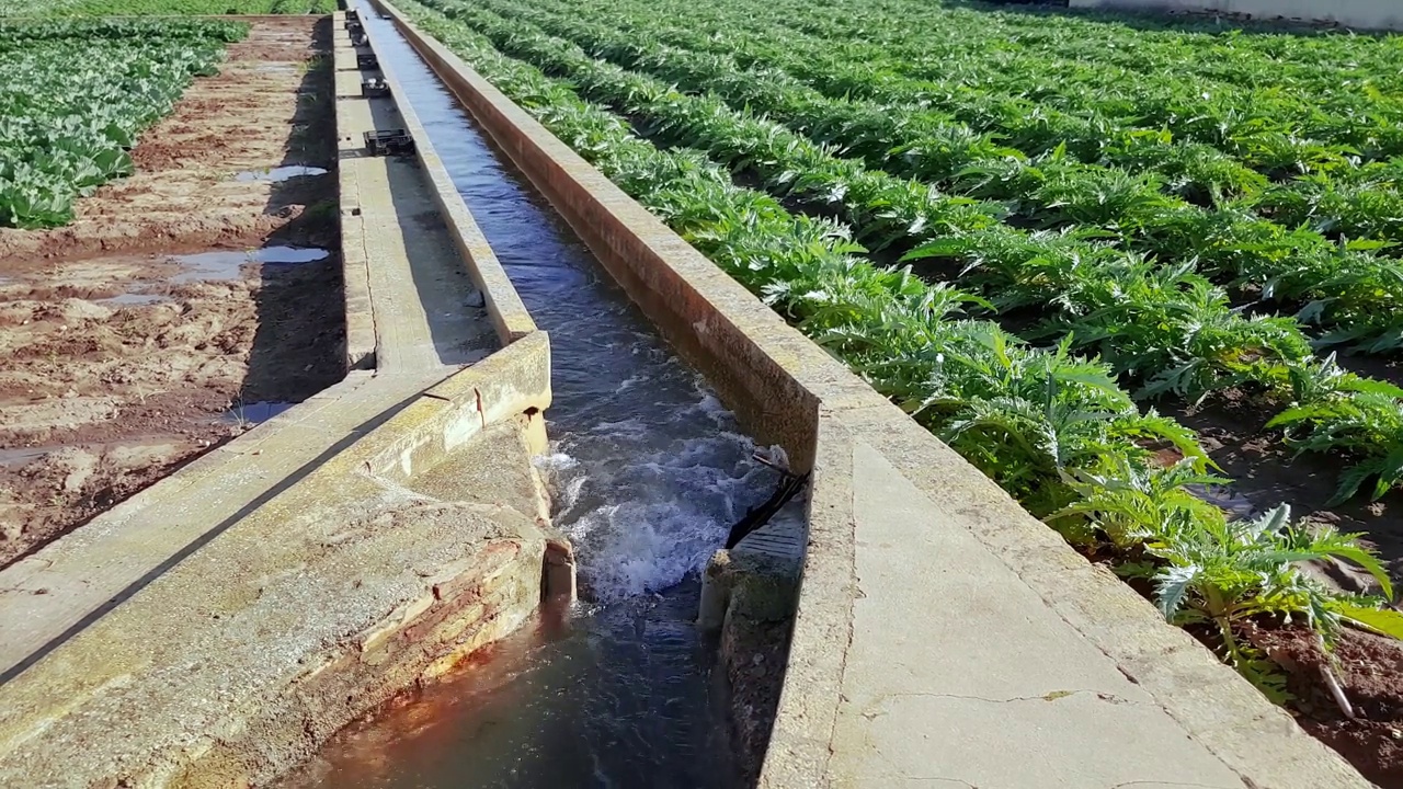 灌溉用水通道视频素材