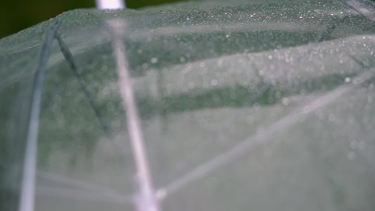 透明伞上的雨滴。雨,潮湿的天气视频下载