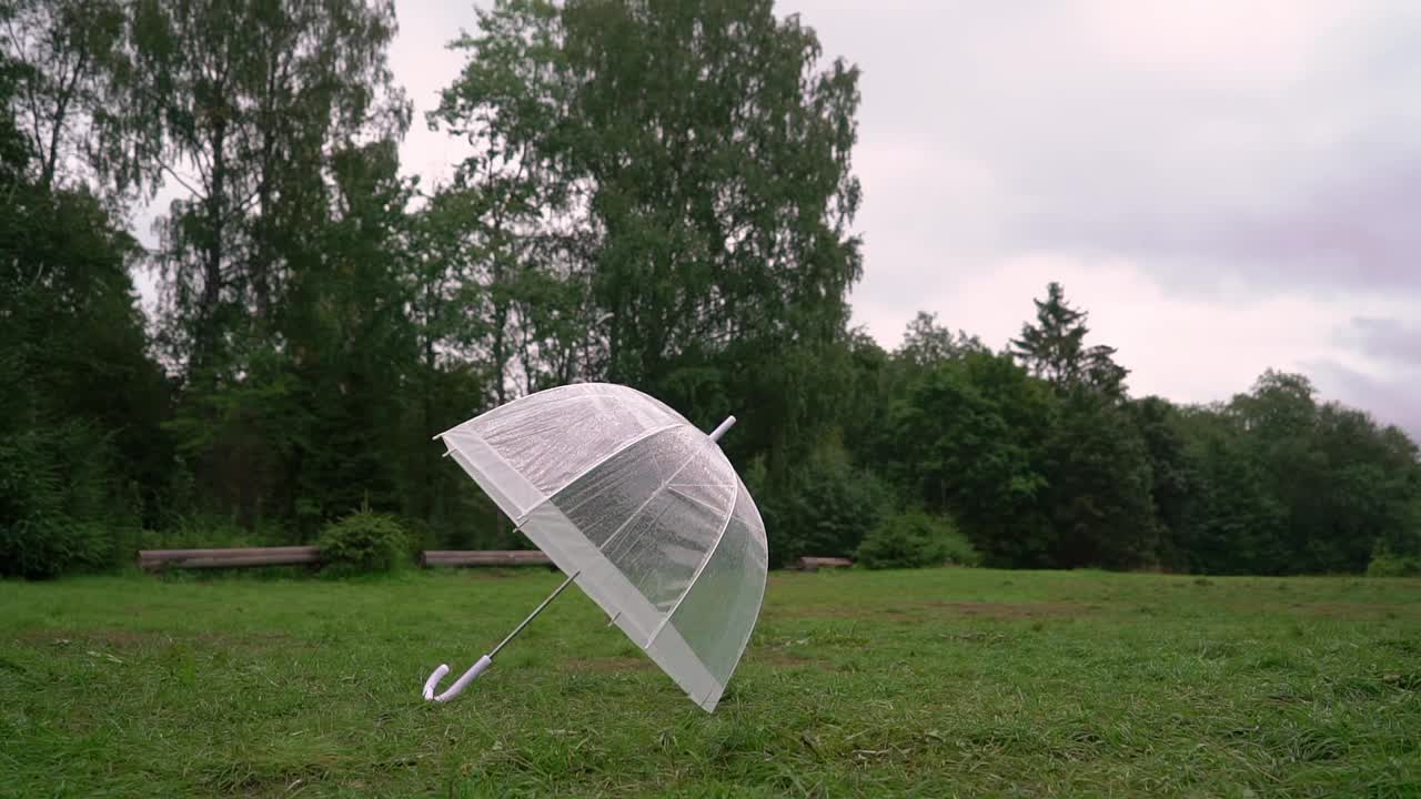 透明伞上的雨滴。雨,潮湿的天气视频下载