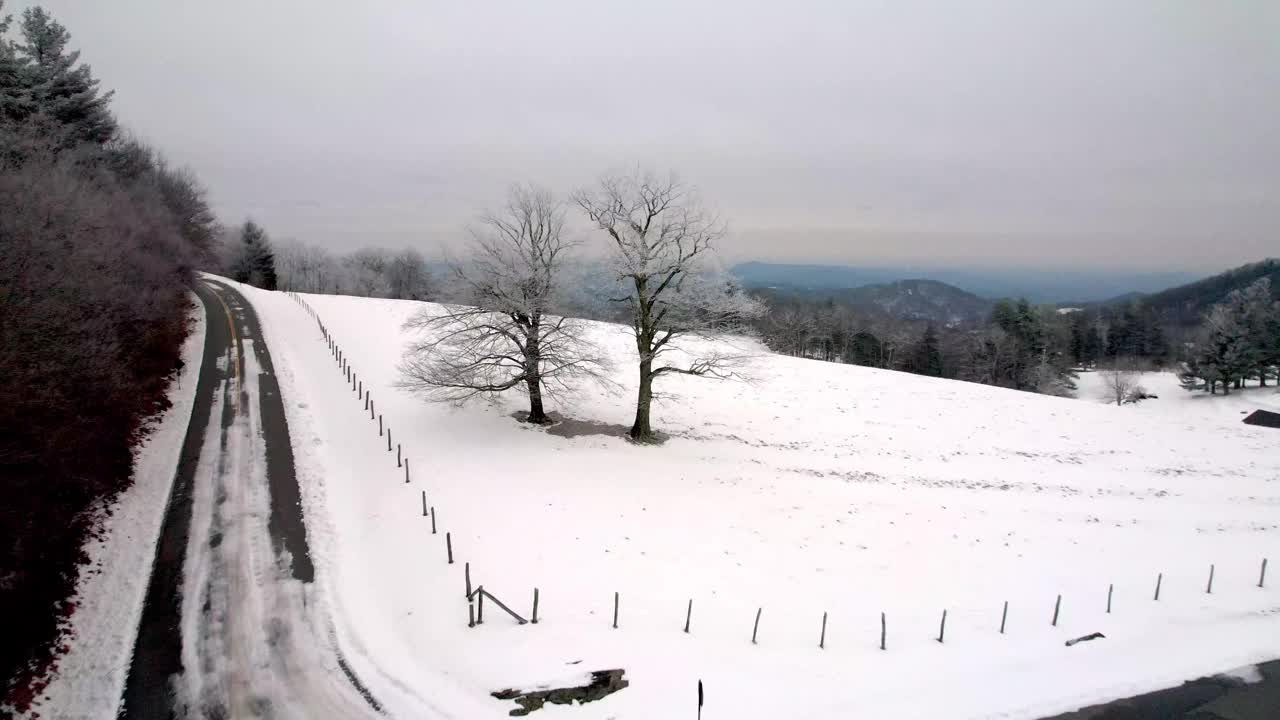 北卡罗来纳州布恩附近雪地里的孤树视频素材