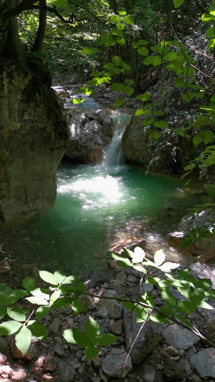 夏天，山河绿林视频素材