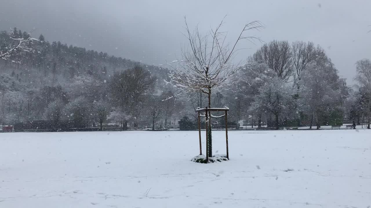 贝尔湖边下雪的天气视频下载