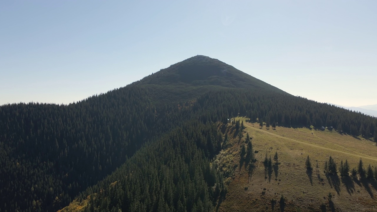 空中景观的高峰与深色的松树林树木在野生山脉视频素材