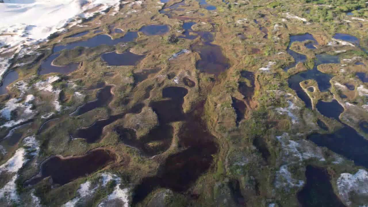 Joaquina的沙丘，大西洋森林的自然保护区Florianópolis视频素材