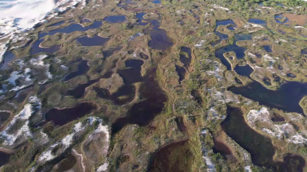 Joaquina的沙丘，大西洋森林的自然保护区Florianópolis视频素材