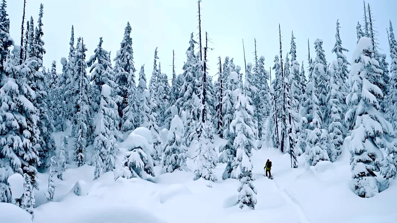 野外滑雪视频素材