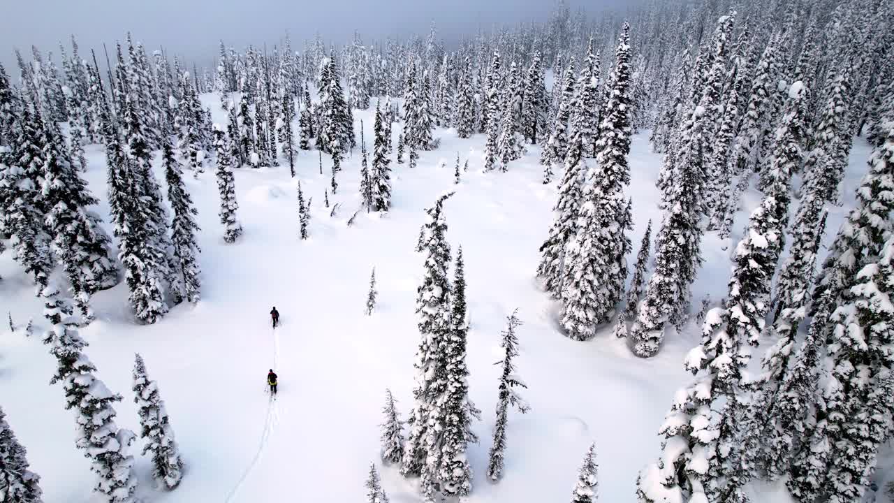 滑雪旅行的无人机镜头视频素材