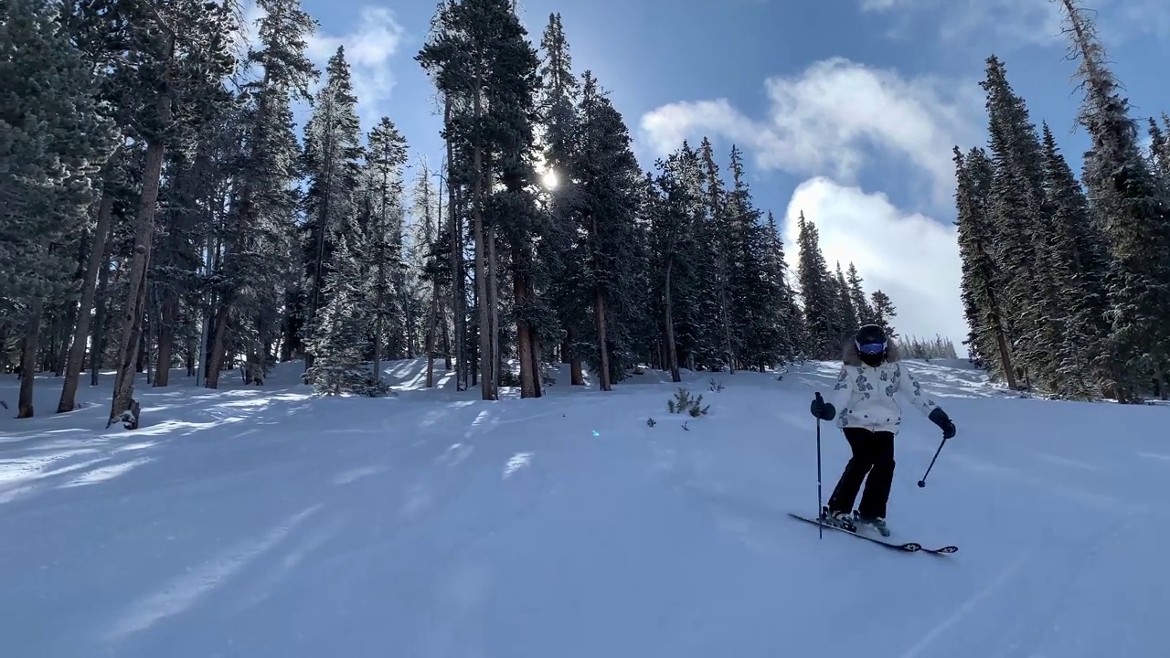 女性高级滑雪视频下载