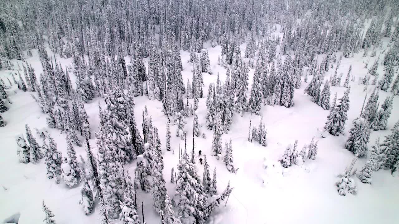 滑雪旅行的无人机镜头视频素材