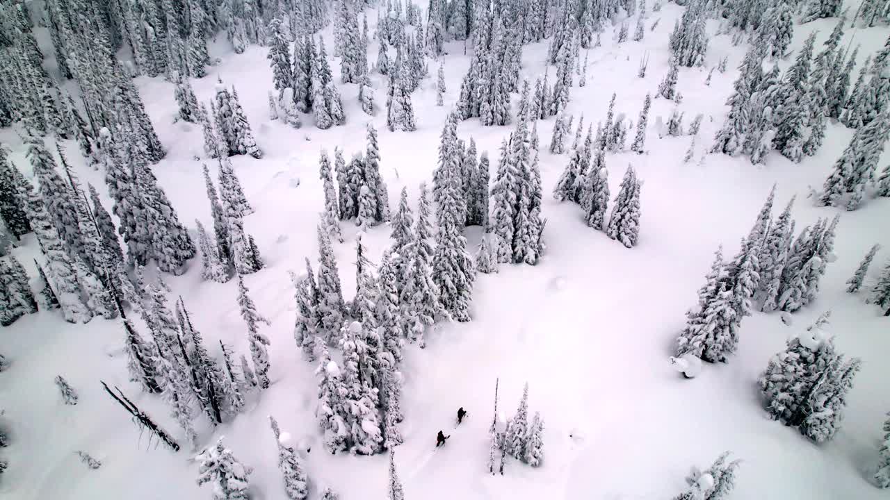 滑雪旅行的无人机镜头视频素材