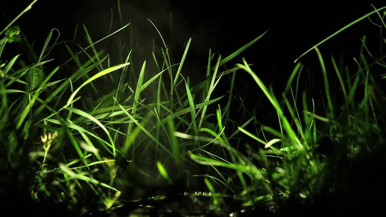 雨后寒冷的夜晚，水滴落在草地上的固定反射器上，然后以水蒸气的形式升起视频素材