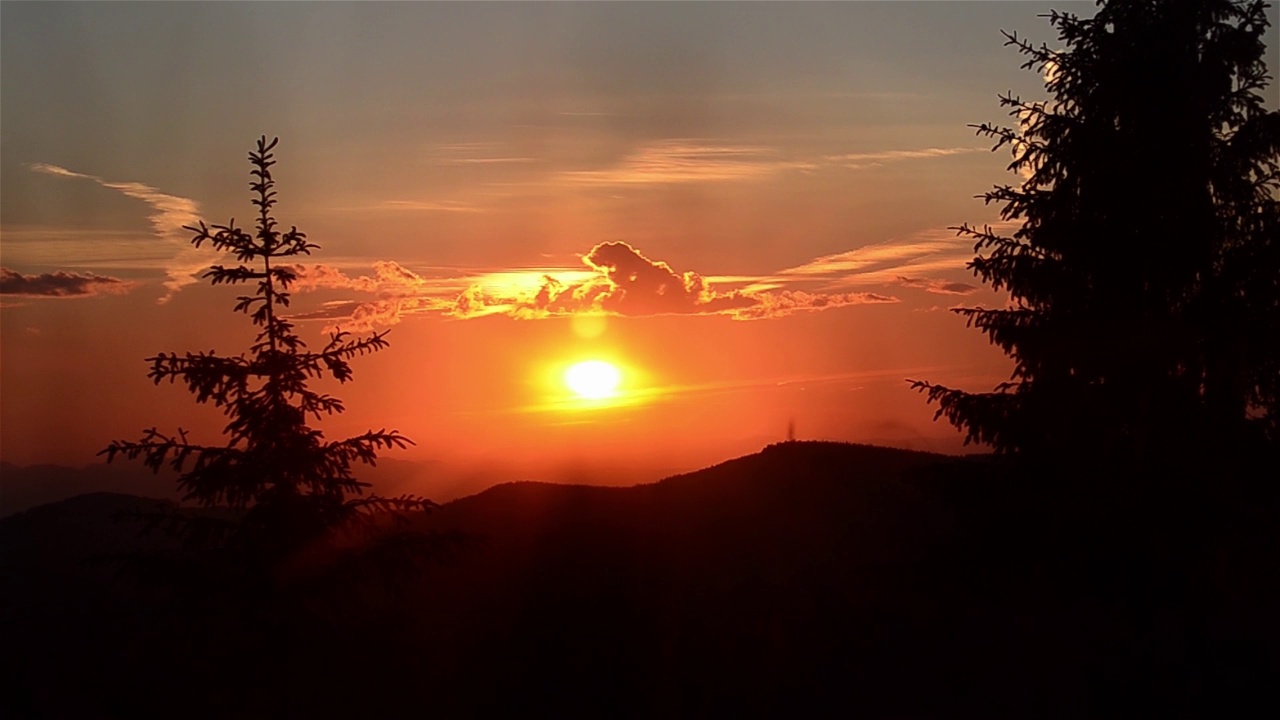 红彤彤的太阳，夕阳落在冷杉林中视频素材