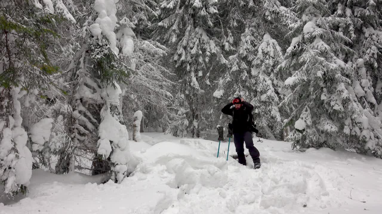 背着背包的徒步旅行者在积雪覆盖的冬季森林里行走视频素材