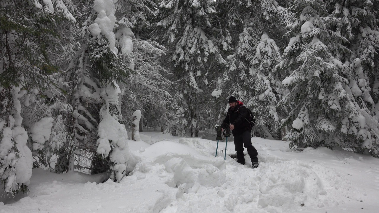 背着背包的徒步旅行者在积雪覆盖的冬季森林里行走视频素材