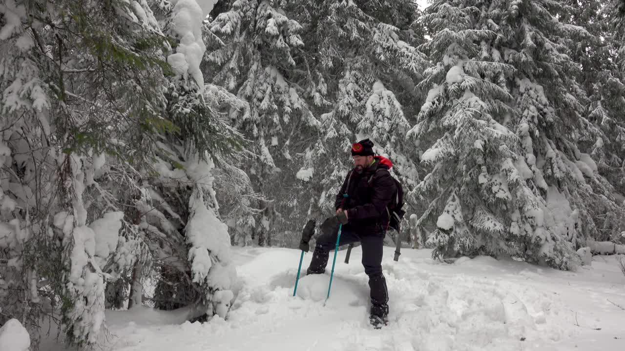 背着背包的徒步旅行者在积雪覆盖的冬季森林里行走视频素材