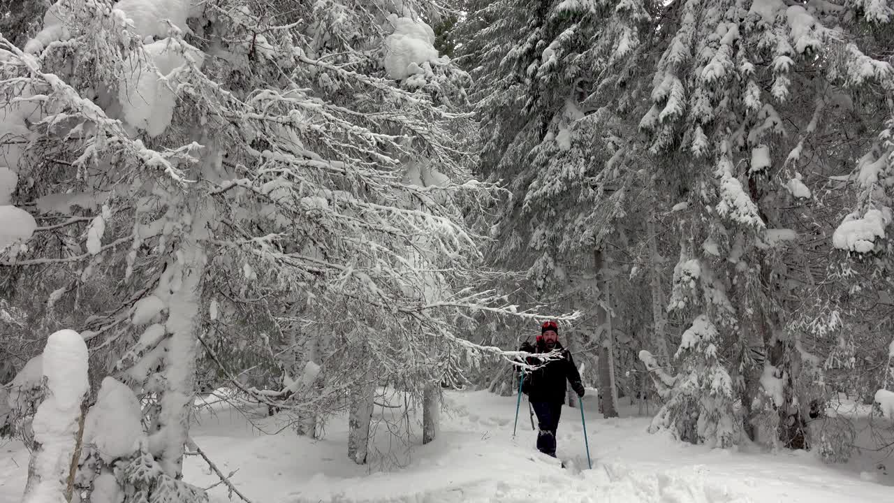 背着背包的徒步旅行者在积雪覆盖的冬季森林里行走视频素材