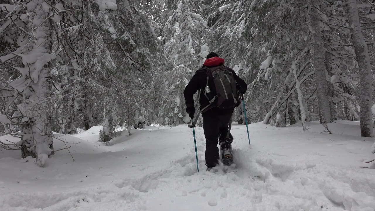 背着背包的徒步旅行者在积雪覆盖的冬季森林里行走视频素材