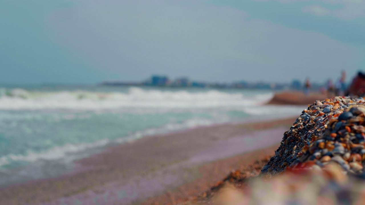 沙滩上有许多贝壳，背景是海浪。视频素材