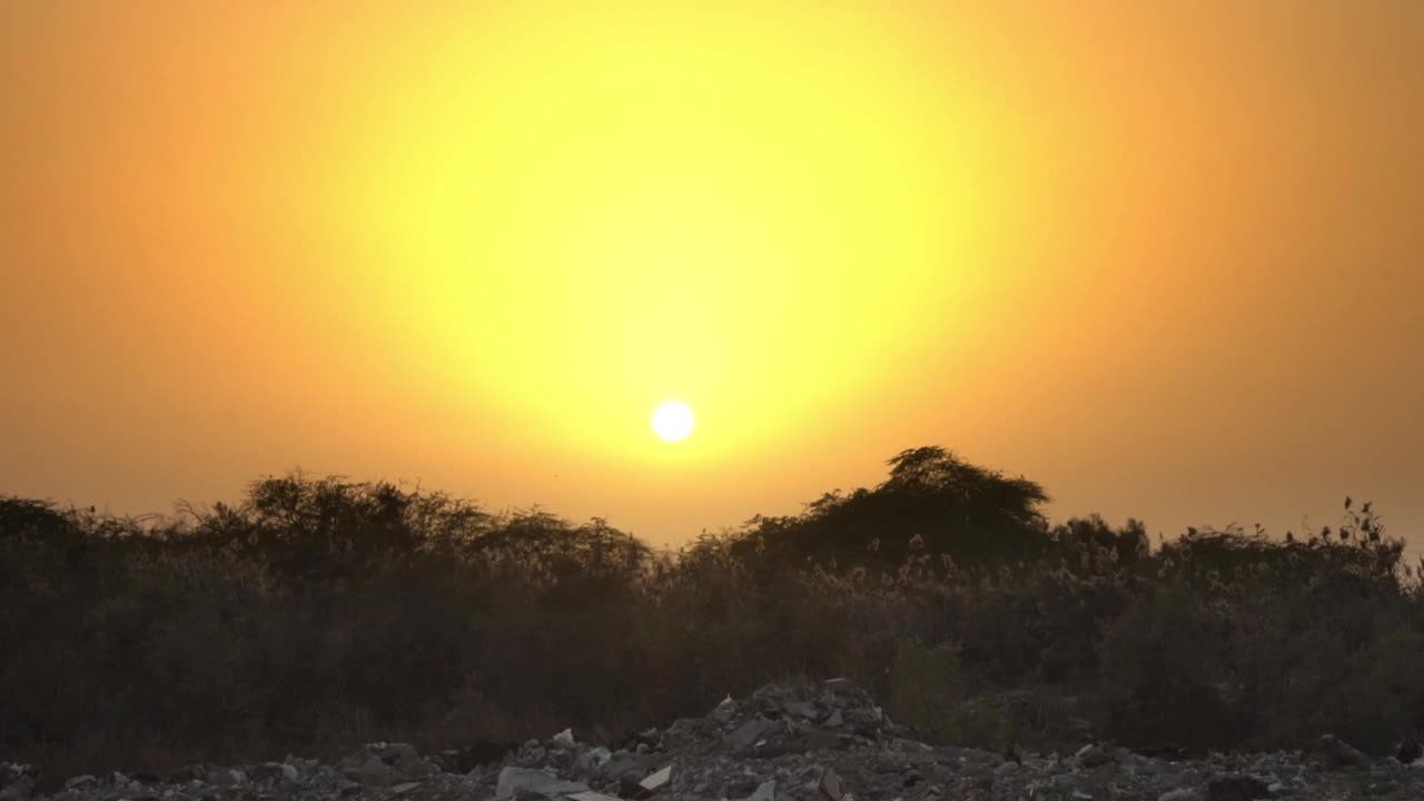 成群的鸟儿在夕阳西下的天空中飞翔视频素材