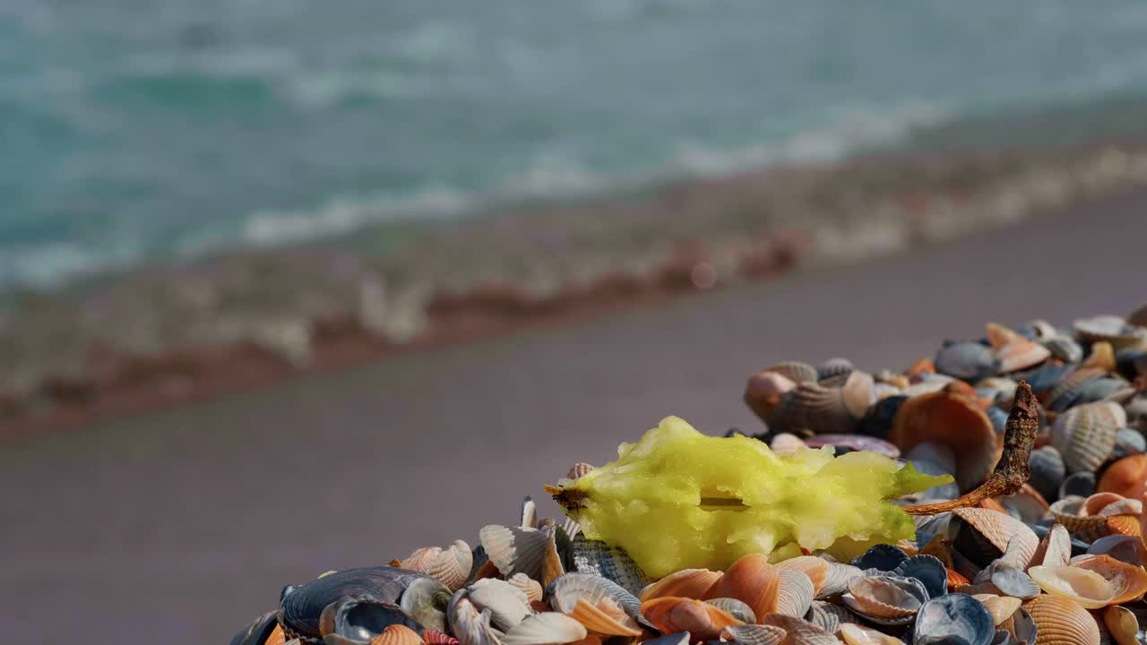 剩饭倒在海滩上视频素材