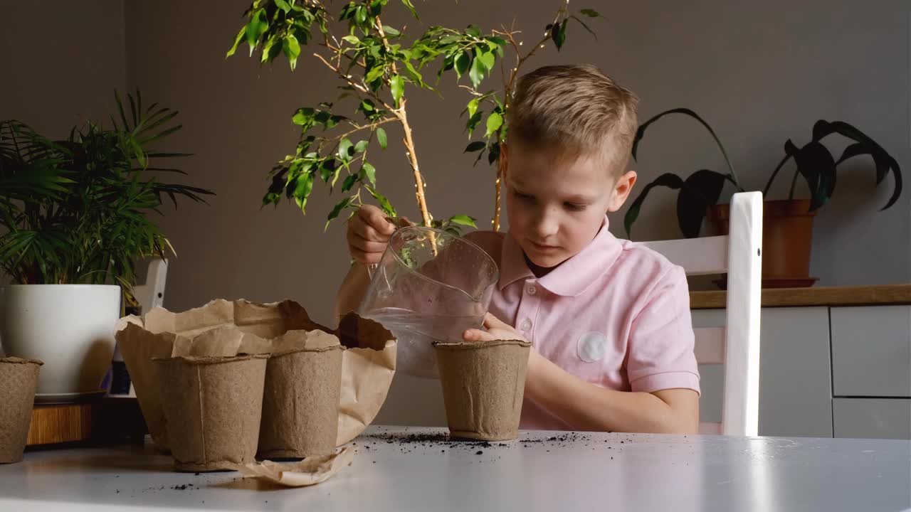 一个孩子在家里用水浇灌盆栽植物并睡着的视频。一个小男孩在家里学习植物学和种植植物的特写。视频下载