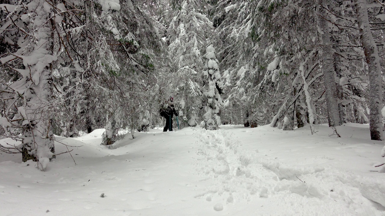 背着背包的徒步旅行者在积雪覆盖的冬季森林里行走视频素材