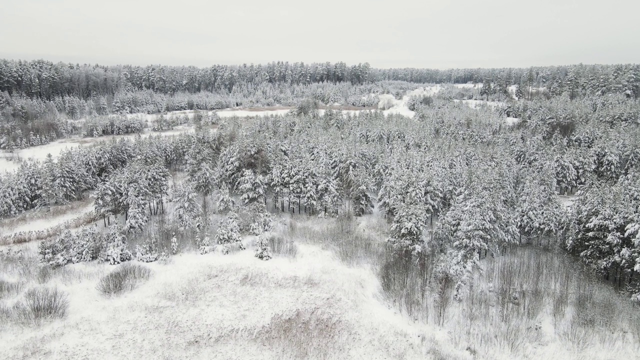 冰雪覆盖的森林在凉爽的冬季，鸟瞰图。视频素材