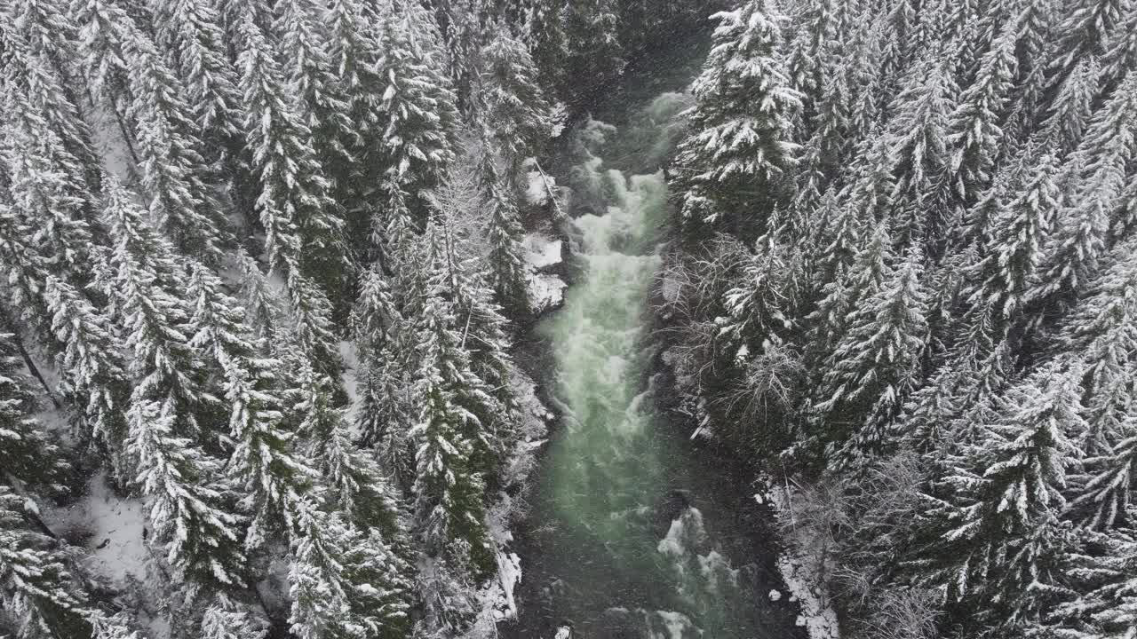 白雪皑皑的冬天风景与流淌的河流视频素材